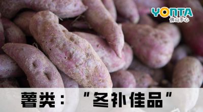 冬天多吃“根”，强健又补身